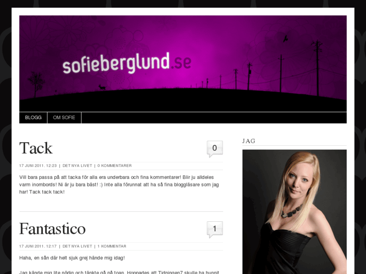 www.sofieberglund.se