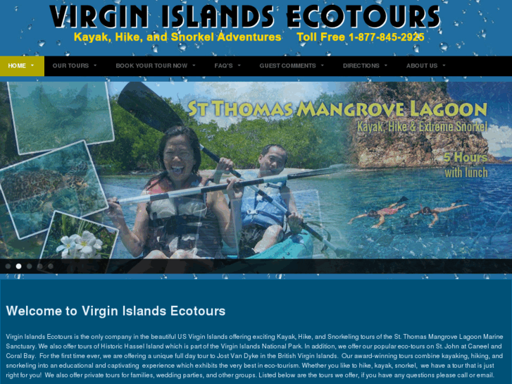 www.viecotours.com