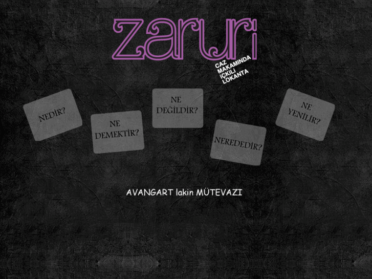 www.zaruriyiz.biz