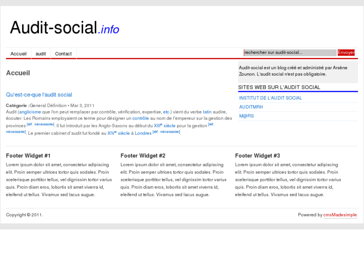 www.audit-social.info