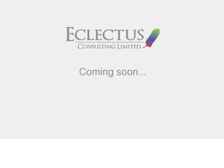 www.eclectusconsulting.com