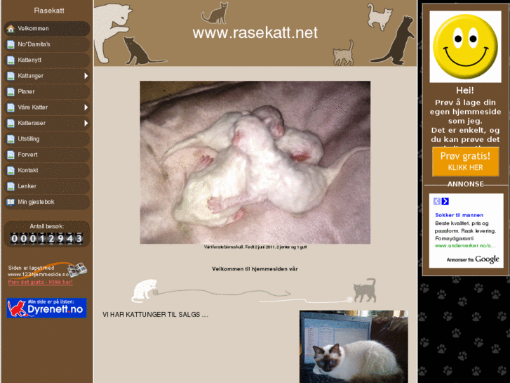 www.rasekatt.net