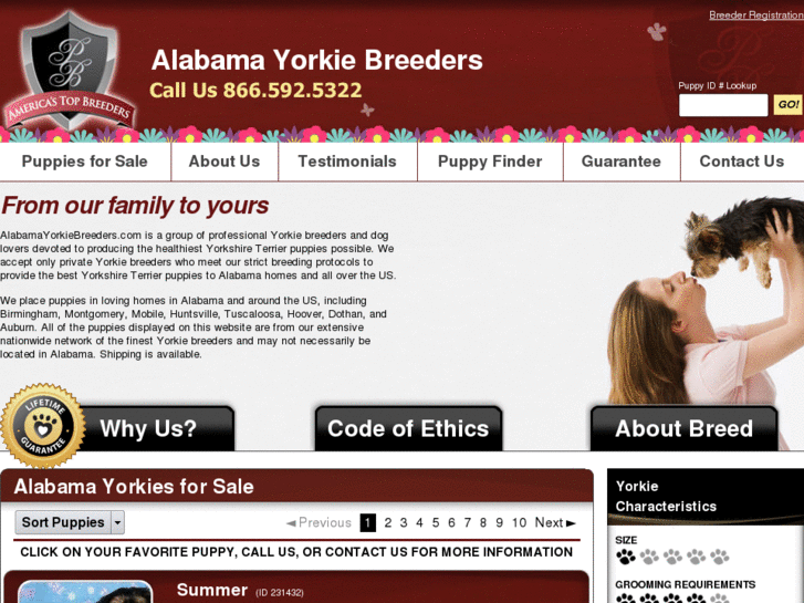 www.alabamayorkiebreeders.com