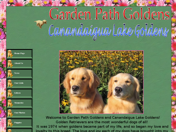 www.canandaigualakegoldens.com