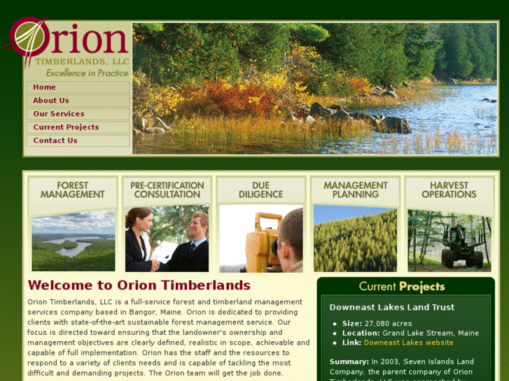 www.oriontimber.com