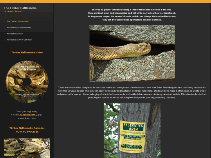 www.thetimberrattlesnake.com