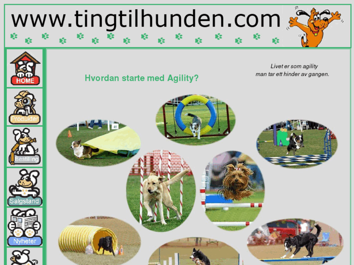 www.tingtilhunden.com