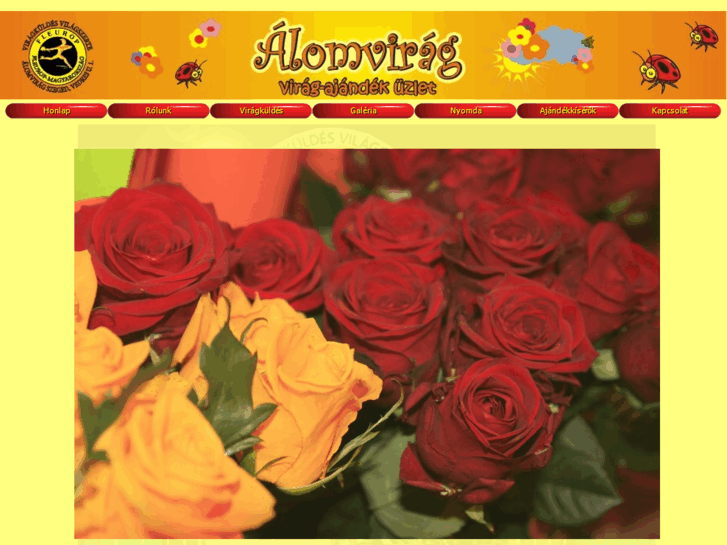 www.alomvirag.com