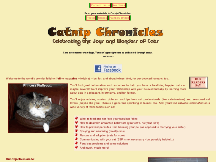 www.catnipchronicles.com