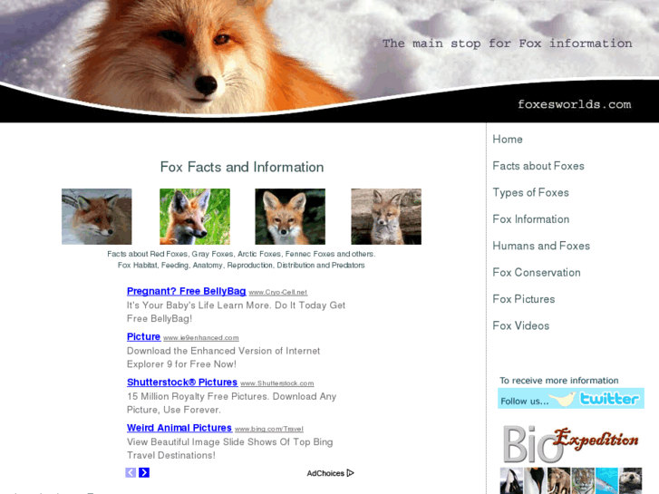 www.foxesworlds.com