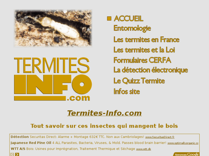 www.france-termites.com