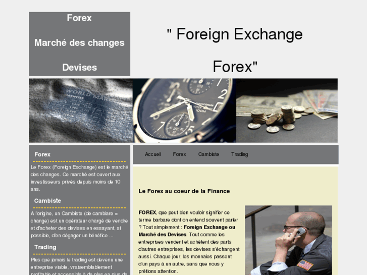 www.trader-forex.net