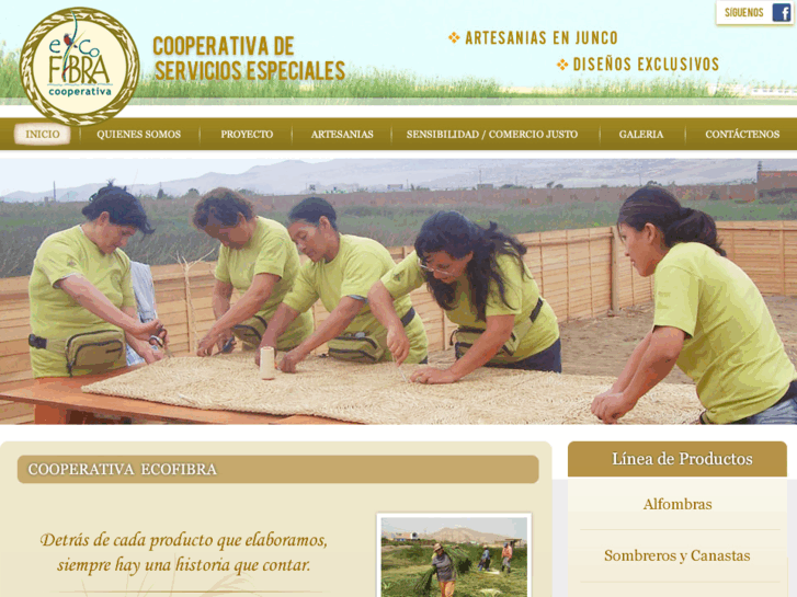 www.ecofibraperu.com