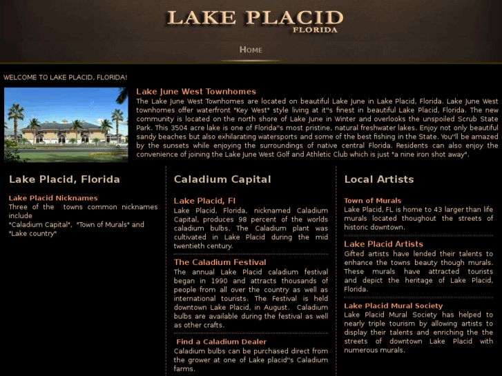www.lakeplacidmurals.com