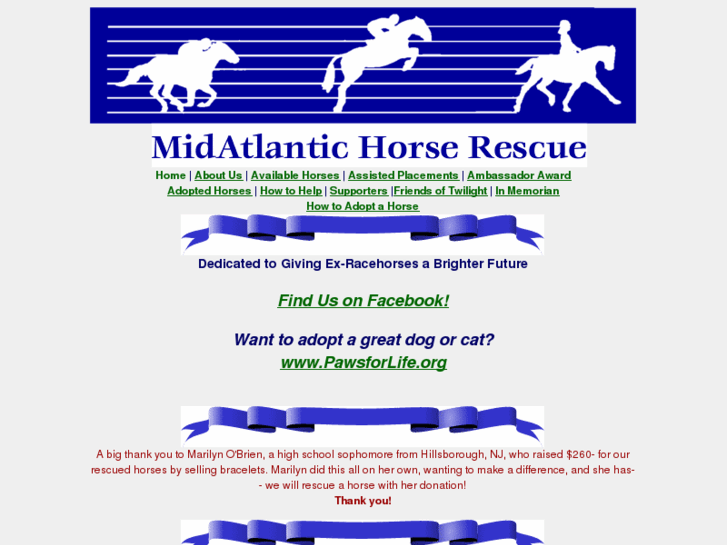 www.midatlantichorserescue.org