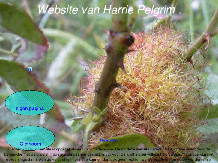 www.pelgrim.info