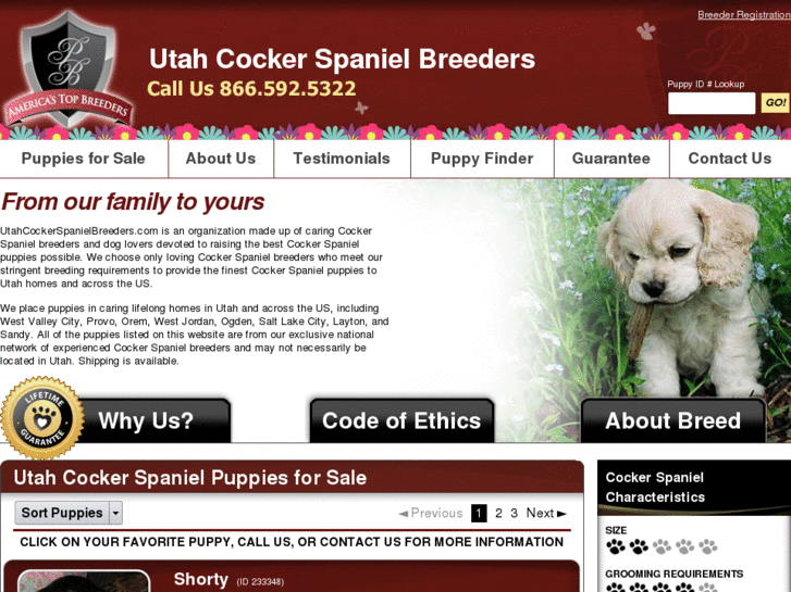 www.utahcockerspanielbreeders.com