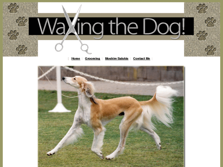 www.waxingthedog.com