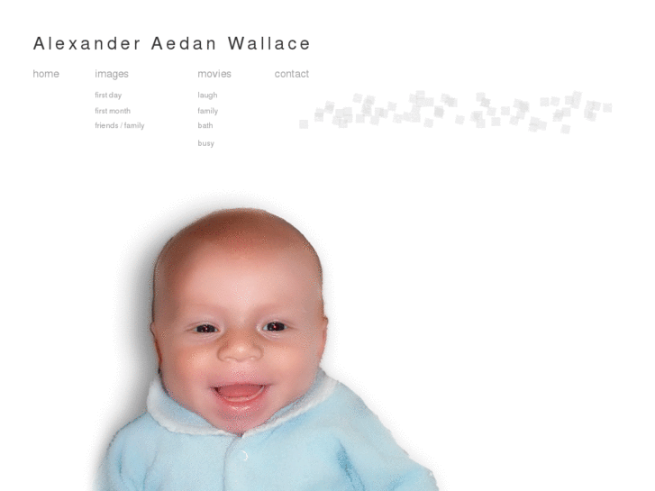 www.alexander-wallace.com