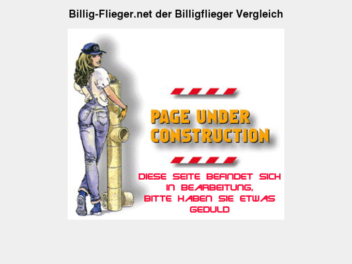 www.billig-flieger.net