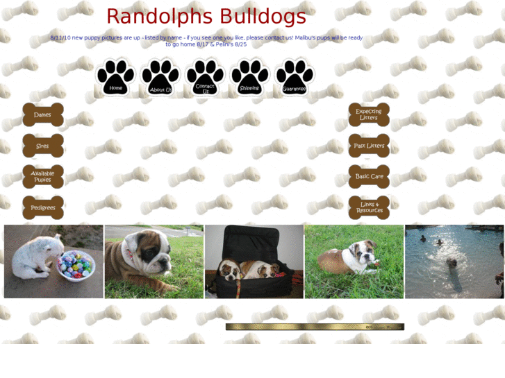 www.randolphsbulldogs.com