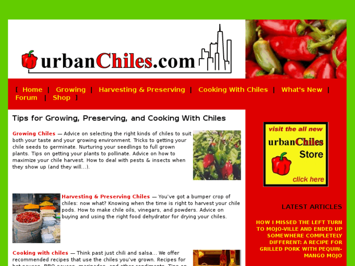 www.urbanchiles.com