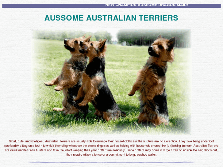 www.aussomeaussies.com