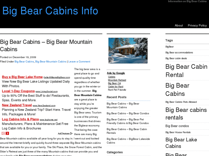 www.bigbearcabinsinfo.com