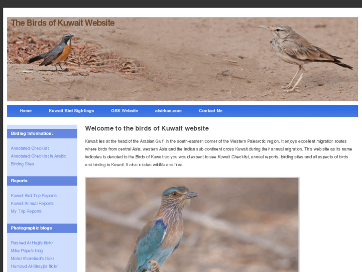 www.birdsofkuwait.com