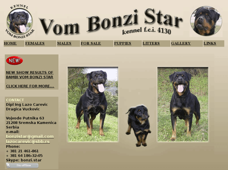 www.bonzistar.com