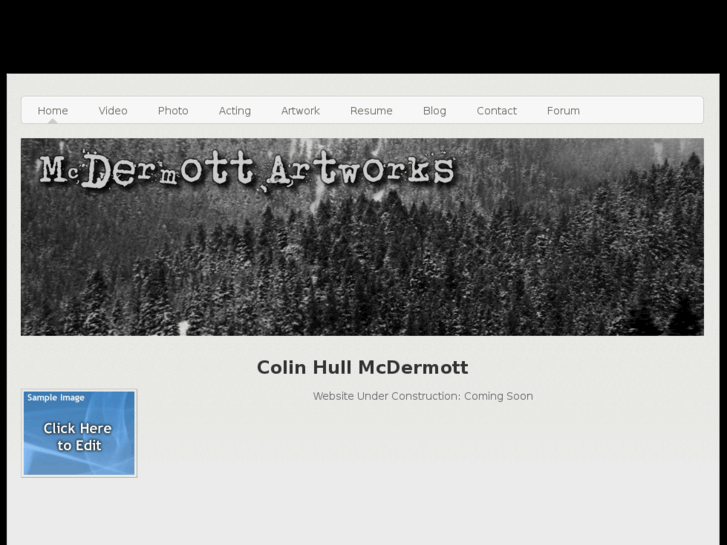 www.mcdermottartworks.com
