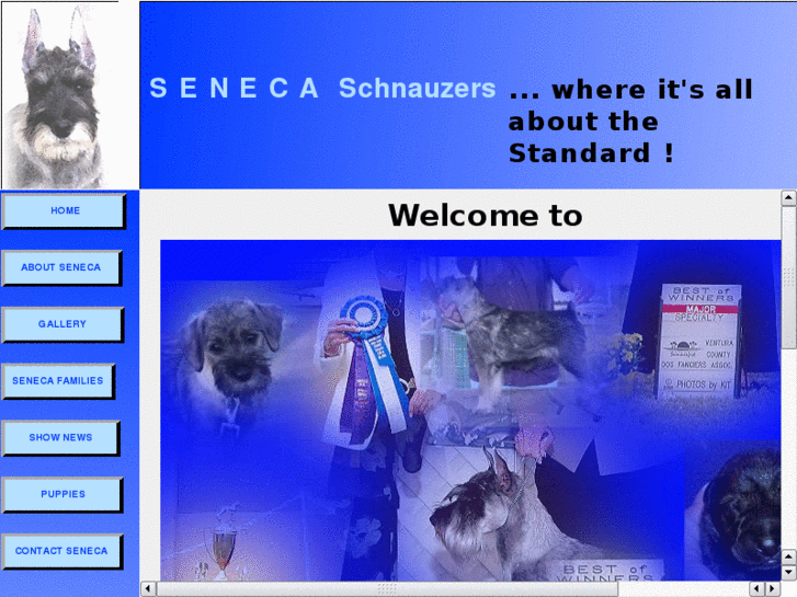 www.senecaschnauzers.com