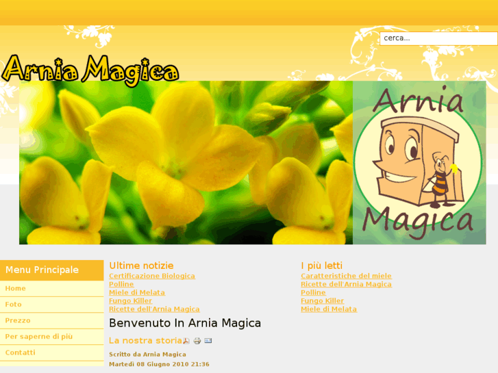 www.arniamagica.com