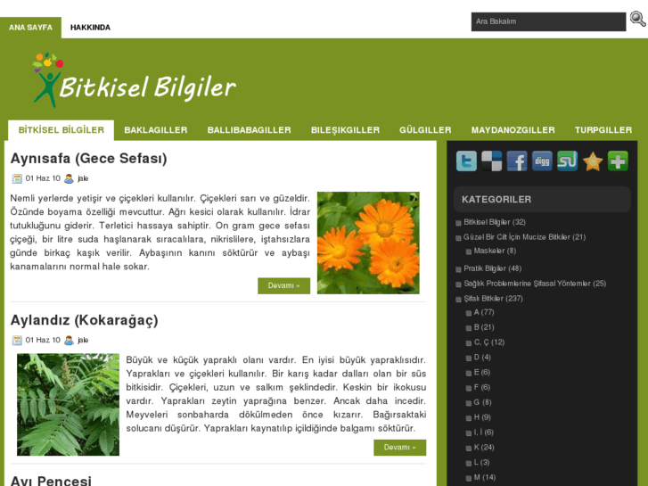 www.bitkiselbilgiler.com