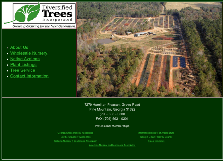 www.diversifiedtrees.com