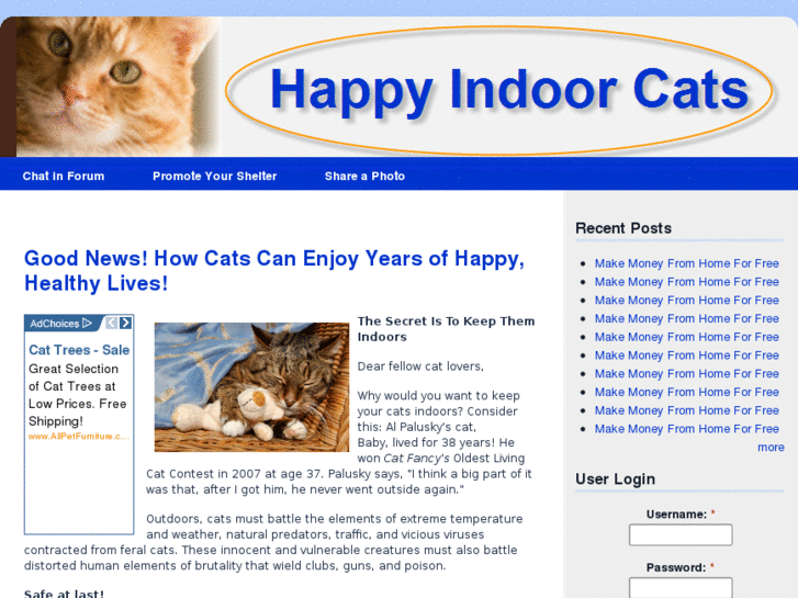 www.happyindoorcats.com