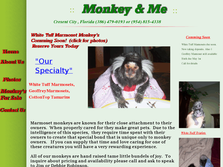 www.monkeyandme.net