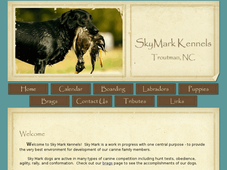 www.skymarkkennels.com