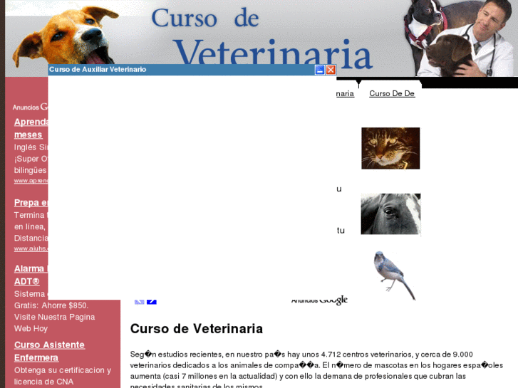 www.cursodeveterinaria.com