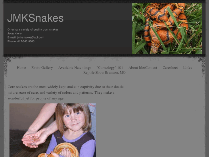 www.jmksnakes.com