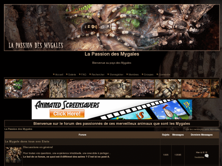 www.la-passion-des-mygales.com