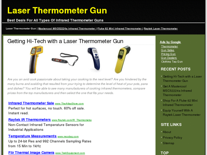 www.laserthermometergun.com