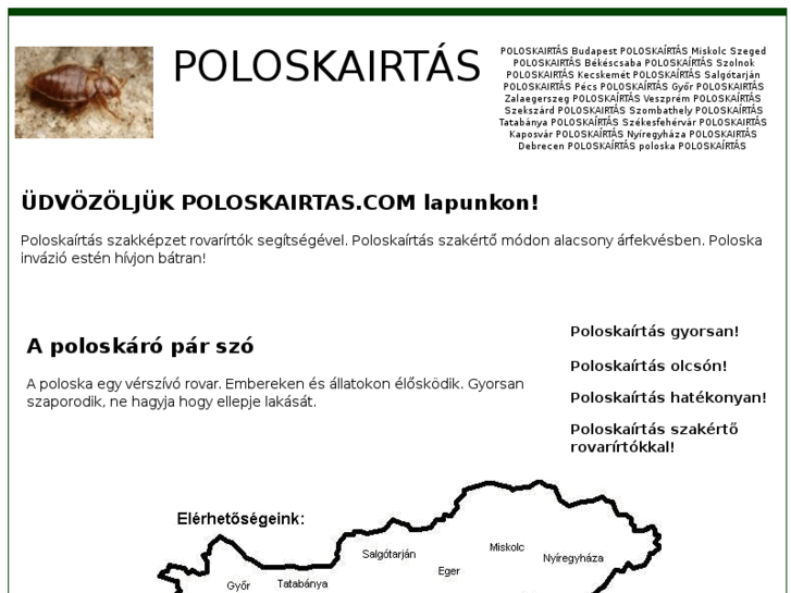 www.poloskairtas.com