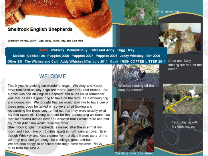 www.shellrockenglishshepherd.com