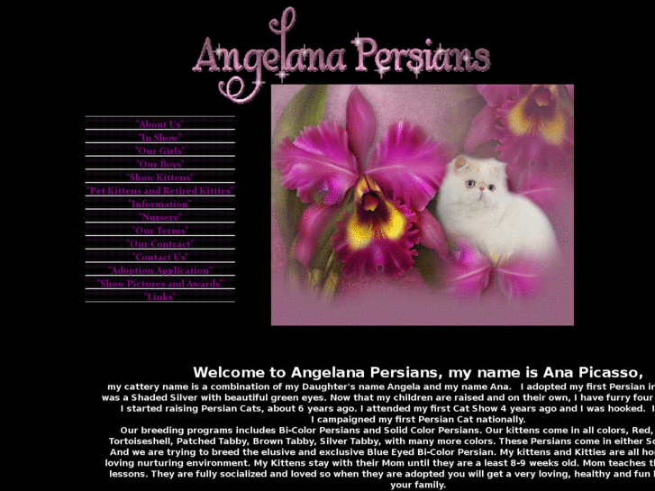 www.angelanapersians.com