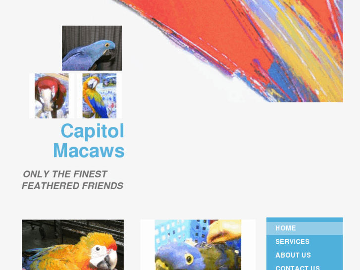 www.capitolmacaws.com