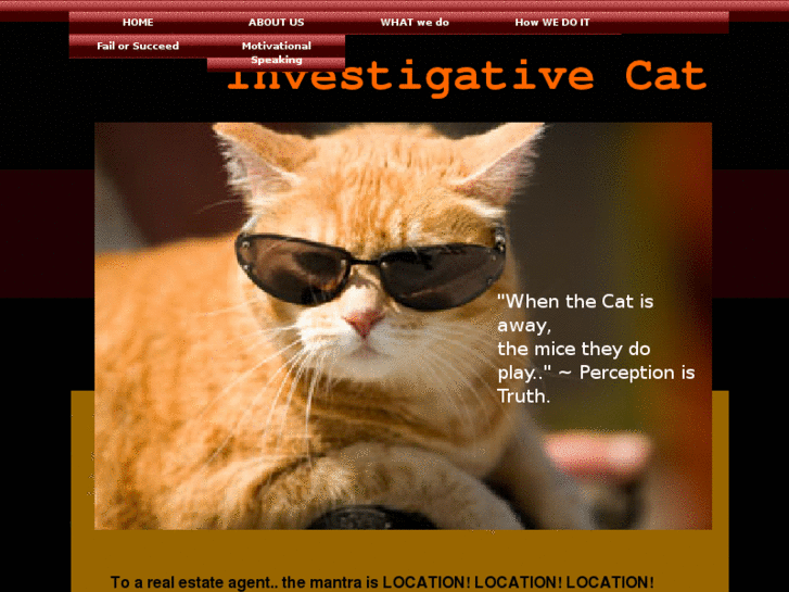 www.investigativecat.com