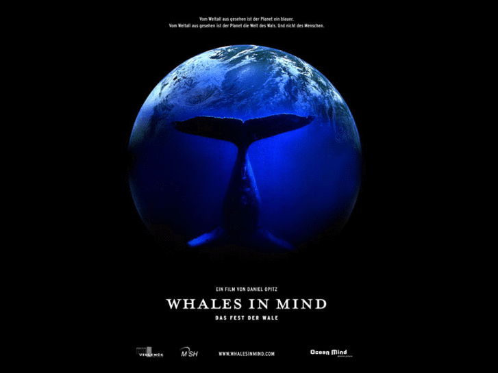 www.whalesinmind.com