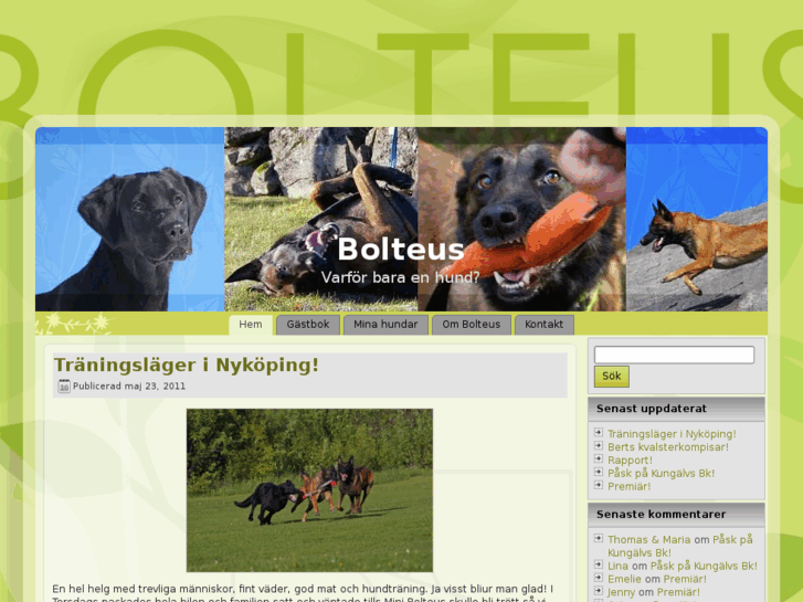 www.bolteus.se