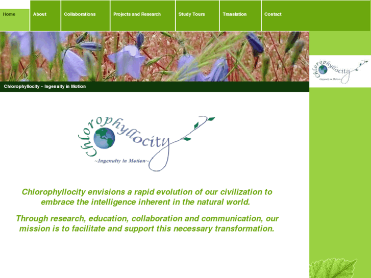 www.chlorophyllocity.com